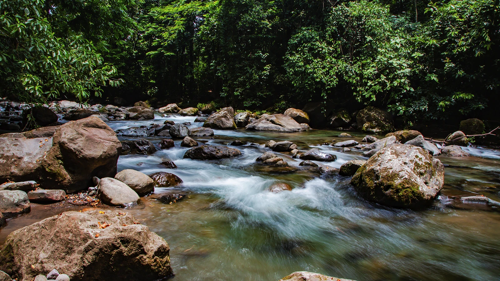 Hanging Bridges